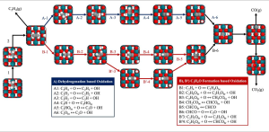 Selective Conversion of Ethane to Value Added Products on RhO2(110): A DFT and Microkinetic Simulation Study